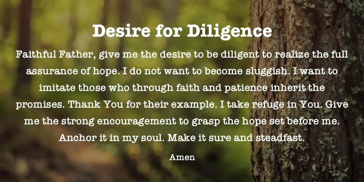 Prayer: Desire for Diligence